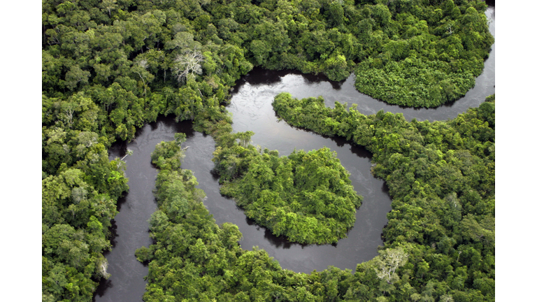 Forest river