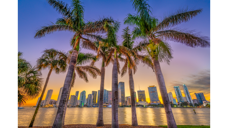 Miami, Florida, Coastal Skyline