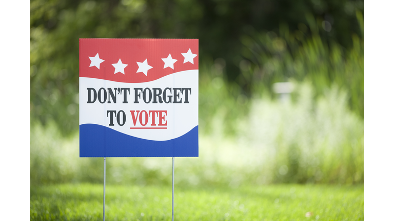 Don’t Forget to Vote Sign in Yard