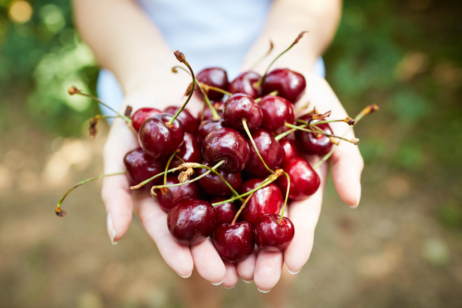 Handful of cherries