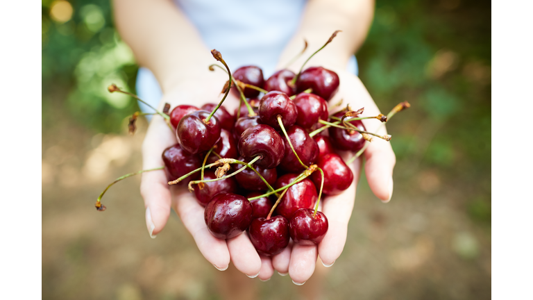 Handful of cherries