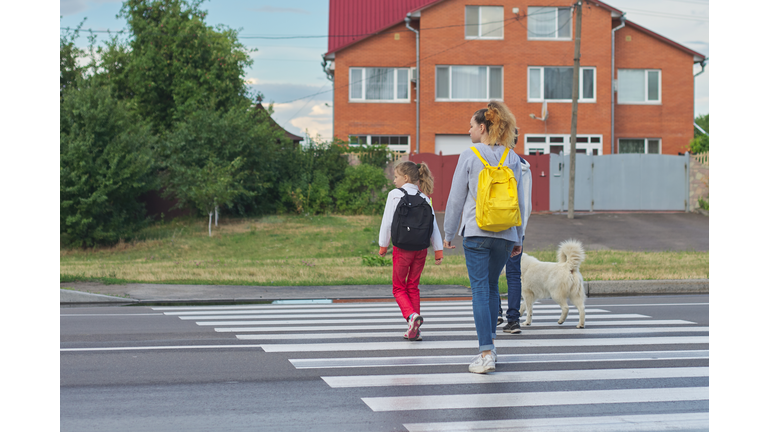Group of children crossing road on zebra crossing