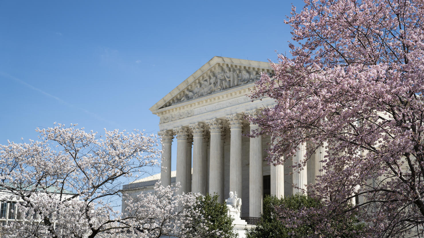 United States Supreme Court with Cherry Blossoms