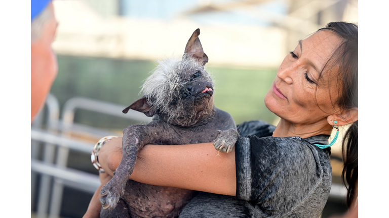 US-OFFBEAT-ANIMAL-DOG-UGLY