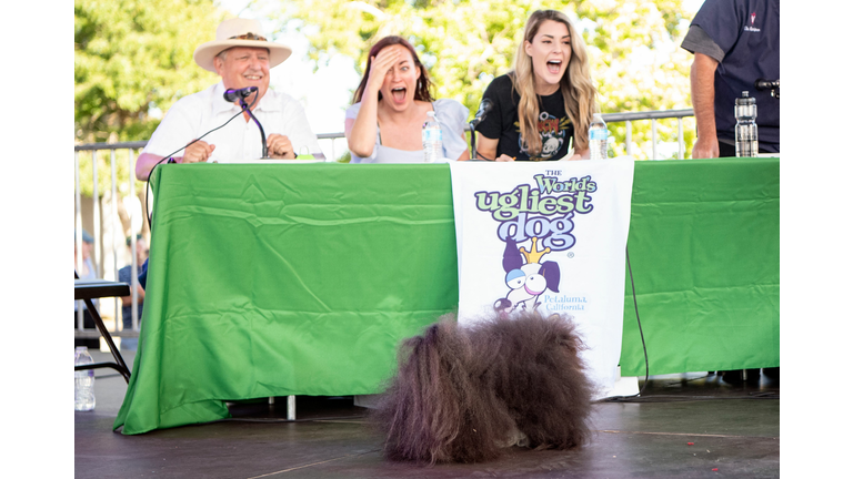 US-OFFBEAT-ANIMAL-DOG-UGLY