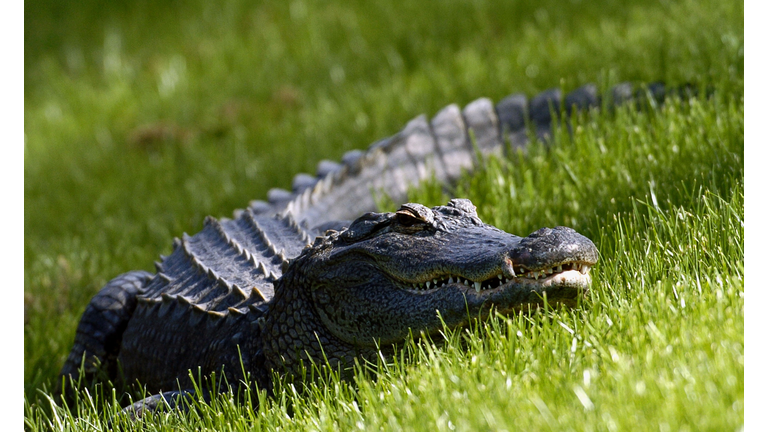 PGA TOUR - 2004 The Players Championship - Third Round