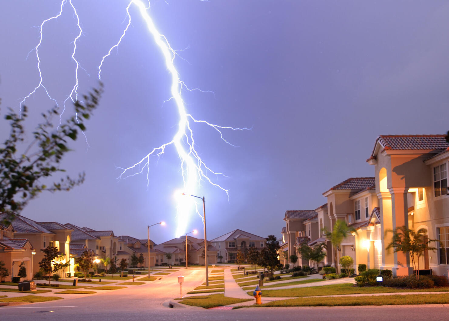 Florida Lightning