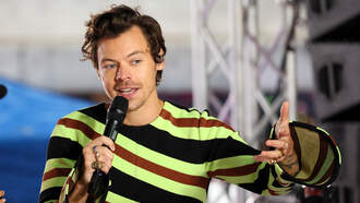 Harry Styles Best Fashion Moments 