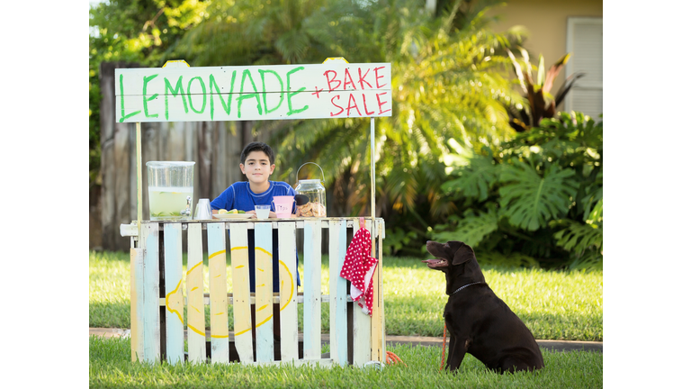 Boy and dog selling lemonade