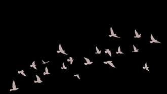 Watch: A Bird Flies Into News Reporter’s Face