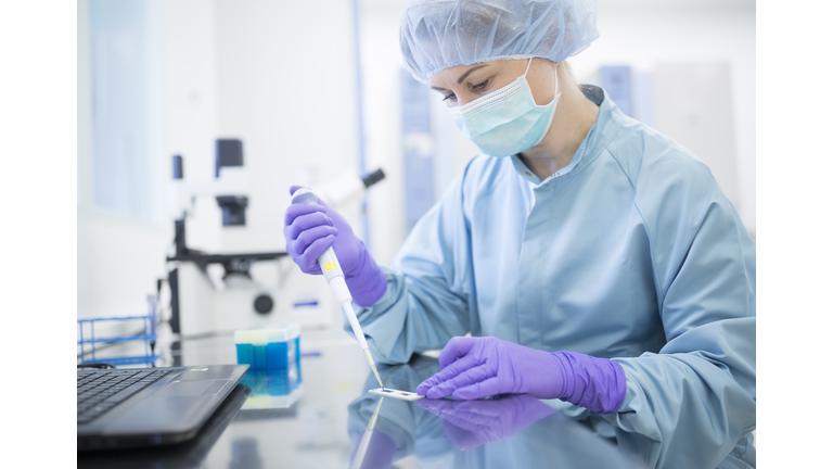 Preparation of check samples of stems in laboratory for drug production