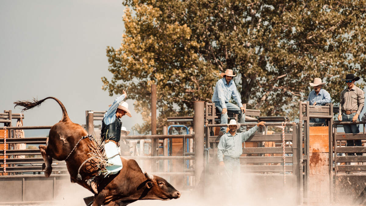 Bull jumps rodeo gate during God Bless the USA on cue 'I Proudly Stand ...