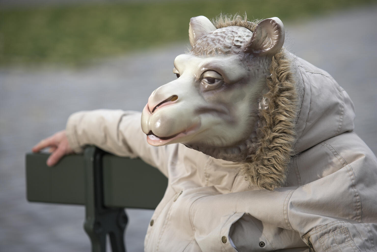 Man wearing sheep mask, sitting on park bench