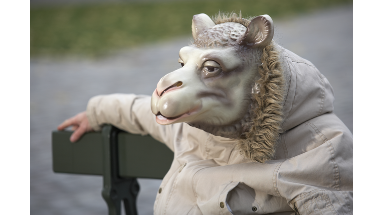 Man wearing sheep mask, sitting on park bench