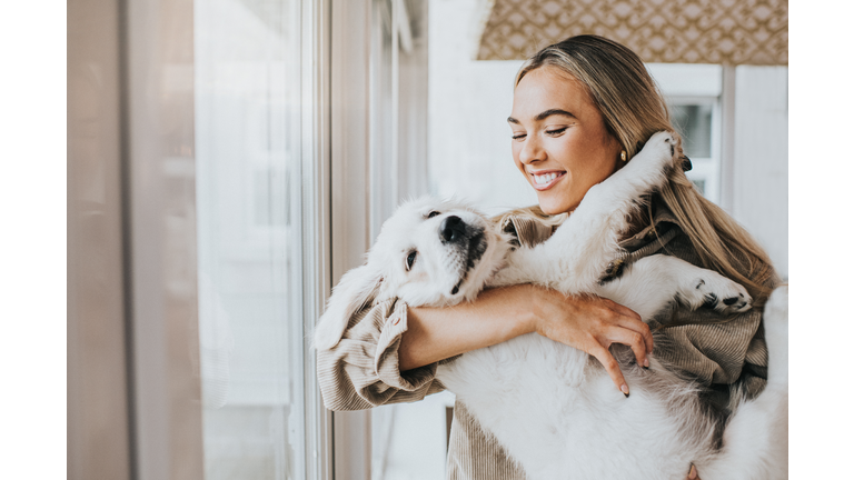 Young Woman cuddles her 12 week old Golden Retriever Puppy