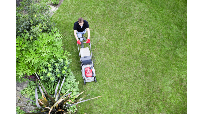 Bird's Eye View of Gardener Mowing Lawn