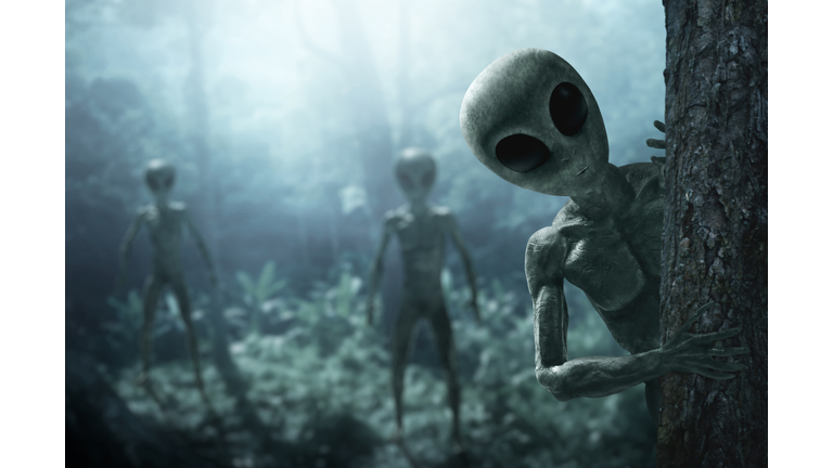 Aliens creature in the forest