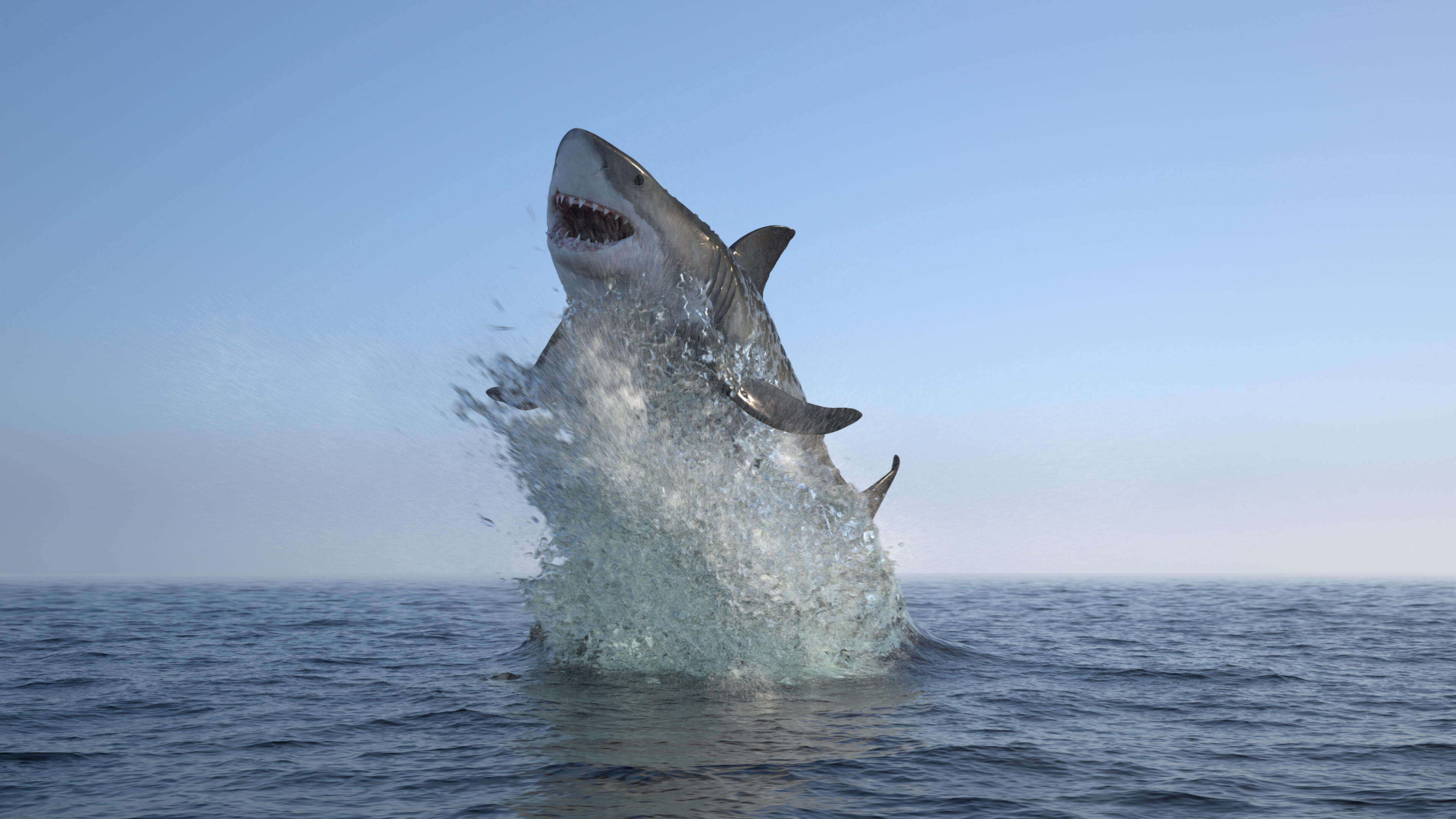 shark in wave behind surfer