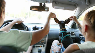 DDG: Dog Missing Reunites With Family After Being Found 2K Miles Away