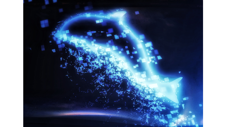 Metaphysics, Contacts, & Cetaceans