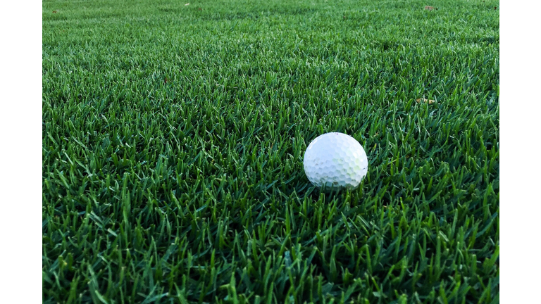 Golf Ball On Grassy Field