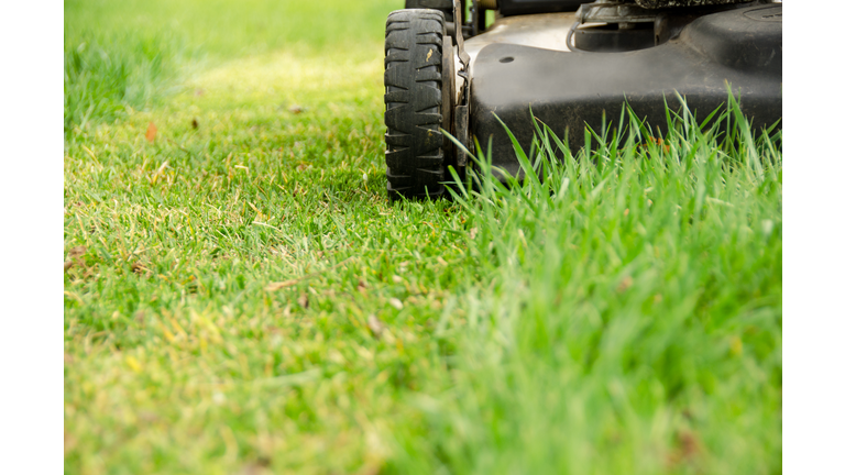 Lawn Mower and Spring Mowing