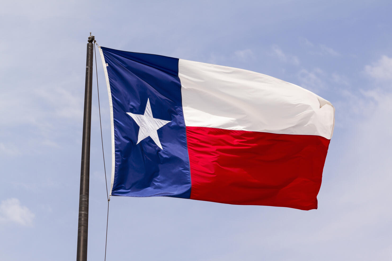 Texas flag