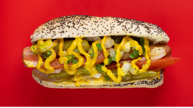 Chicago Style Hot Dog