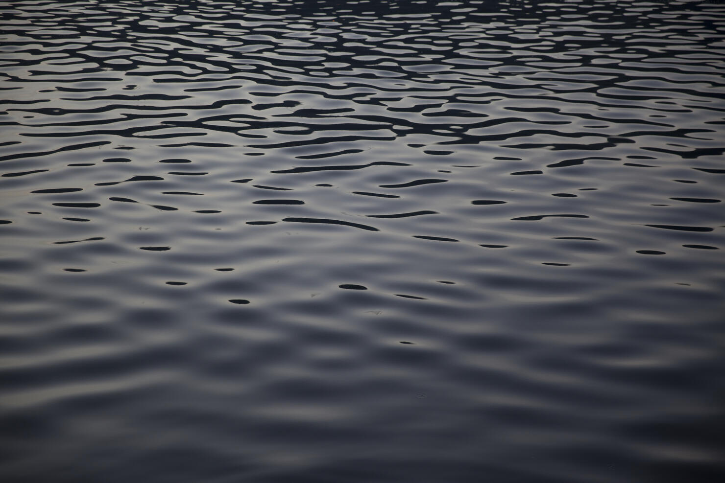 Reflection in london canal at dusk looking like oil