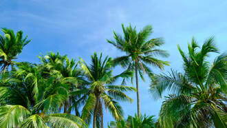 LIST: Florida’s Best Performing Cities ... Palm Bay on the list!