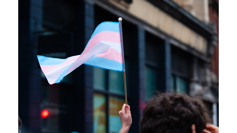 Handheld Transgender Pride Flag at Bristol Trans Rights March