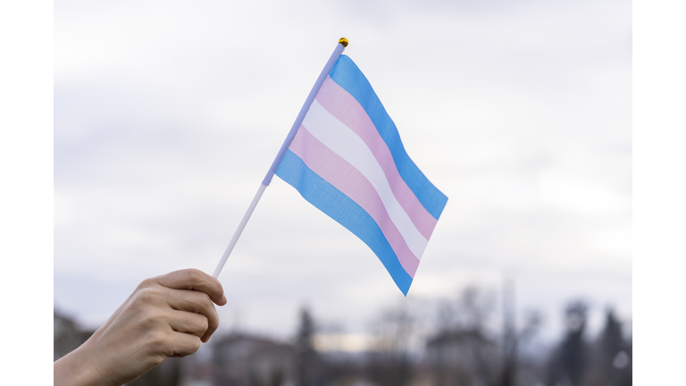 Transgender Flag