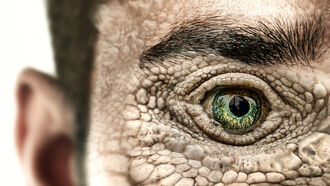 The Reptilian Agenda