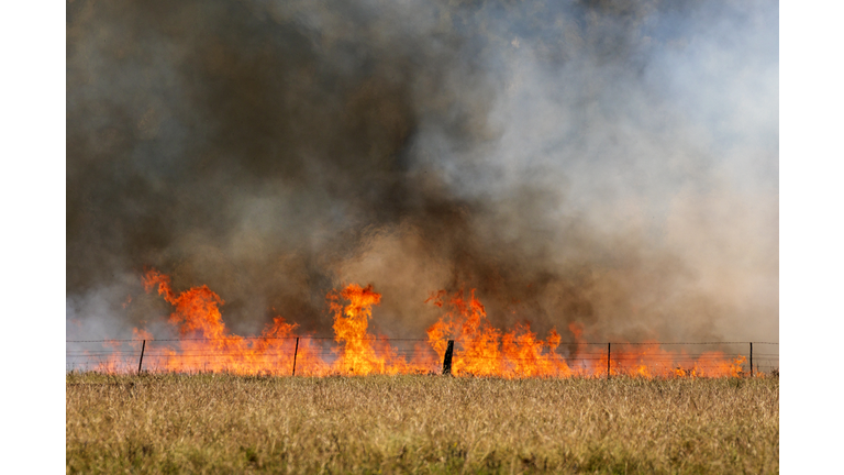 Forest fire flames, smoke clouds, grass fire in field, farm, closeup