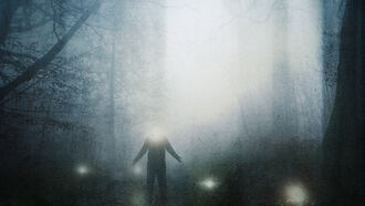 Health & Endocannabinoid System / UFOs & Orbs