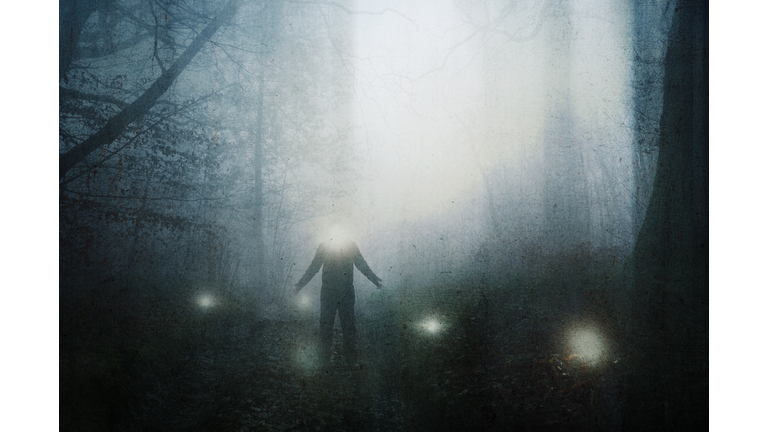 Health & Endocannabinoid System / UFOs & Orbs