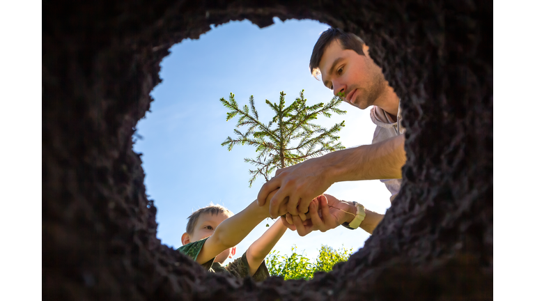 Son and father planting plant together in pit in garden. Gardening and growing trees and sprouts in soil.