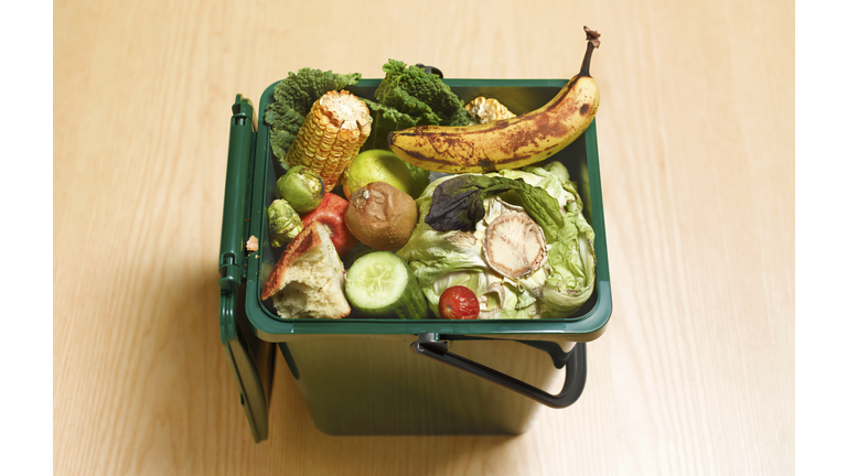 Food waste recycling compost