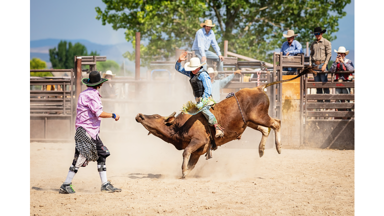 Bareback Bull Riding Cowboy Rodeo Action Clown Raging Bucking Bull