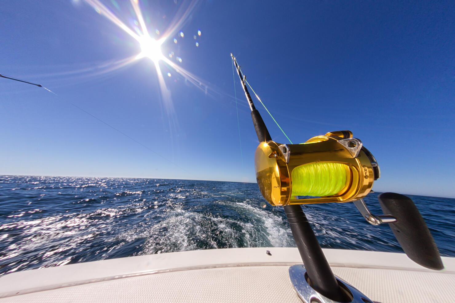 Maryland man wins $4.4M for reeling in 77.5-pound white marlin