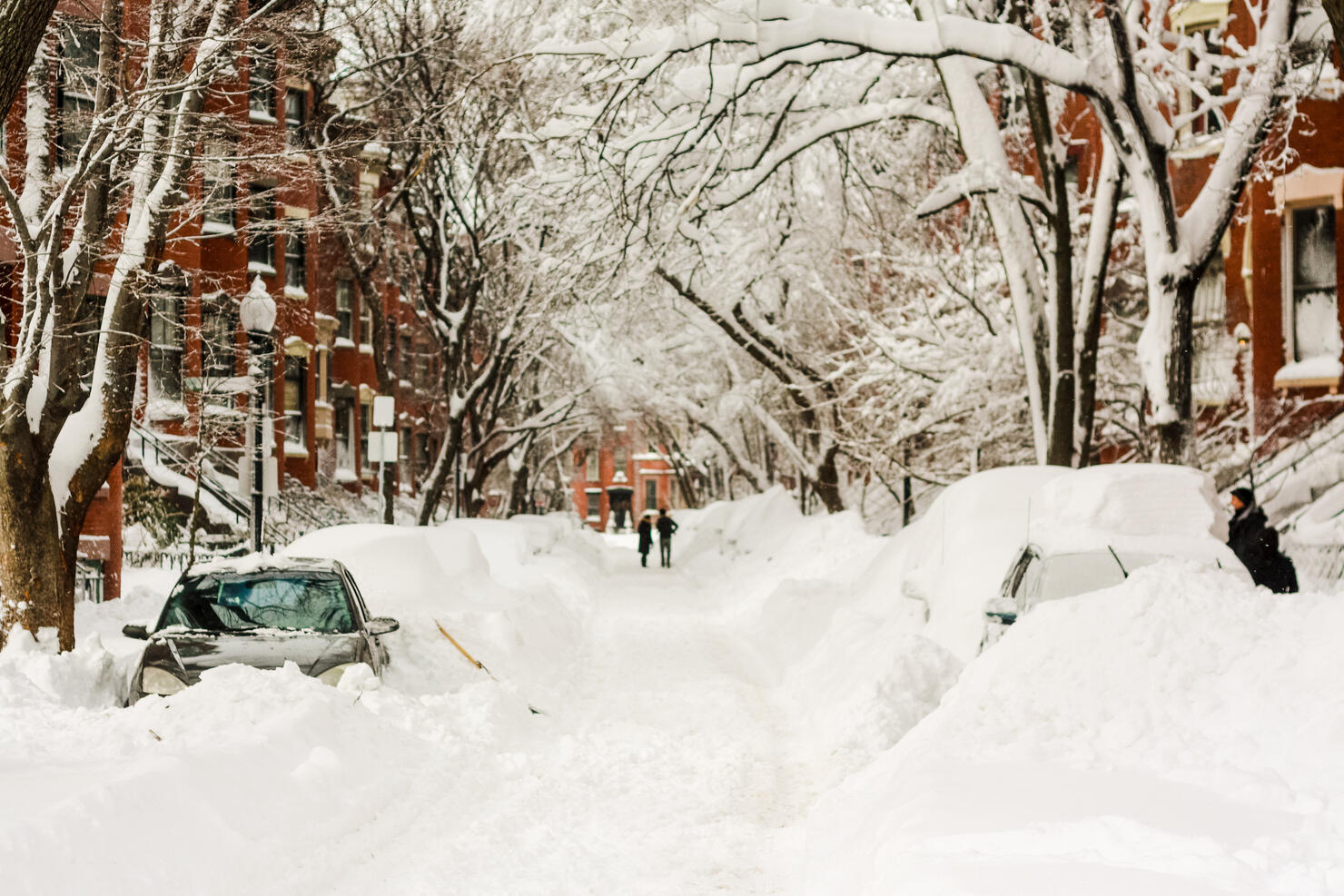Cars covered in snow