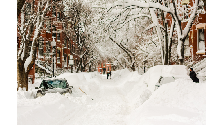 Cars covered in snow