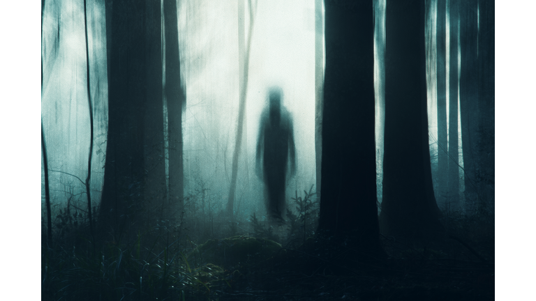 A spooky concept of a ghostly figure silhouetted between trees in a forest on a moody, foggy winters day. With a grunge, abstract edit. England, UK