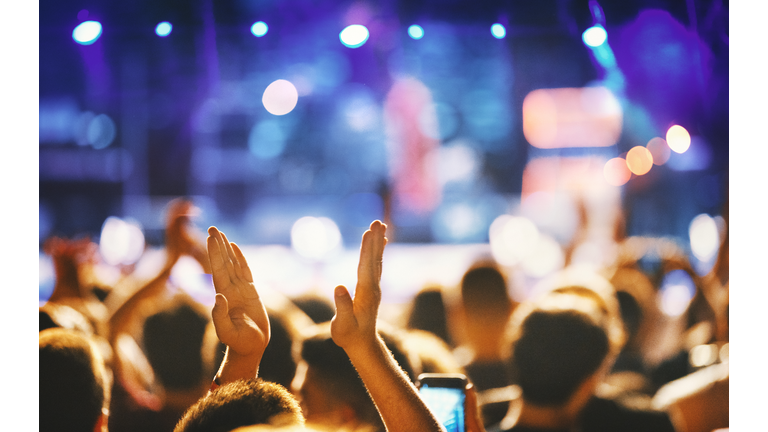 Cheering crowd at a concert.