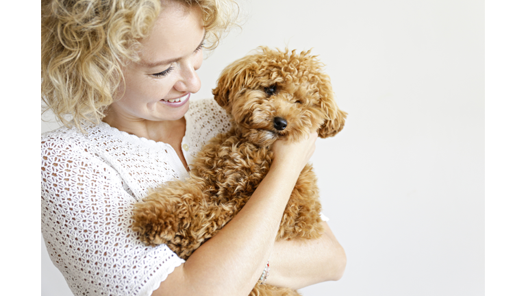 Woman in knitted sweater with her maltipoo poodle.