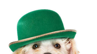 Ocean City's St. Patrick's Parade And Festival Takes Place On March 15