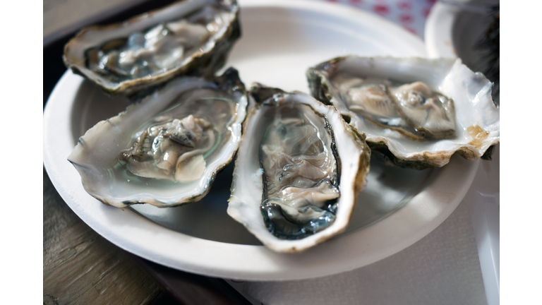 Oysters served on a plate at restaurant