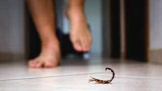 What's On Your Mind? (10/8/25)