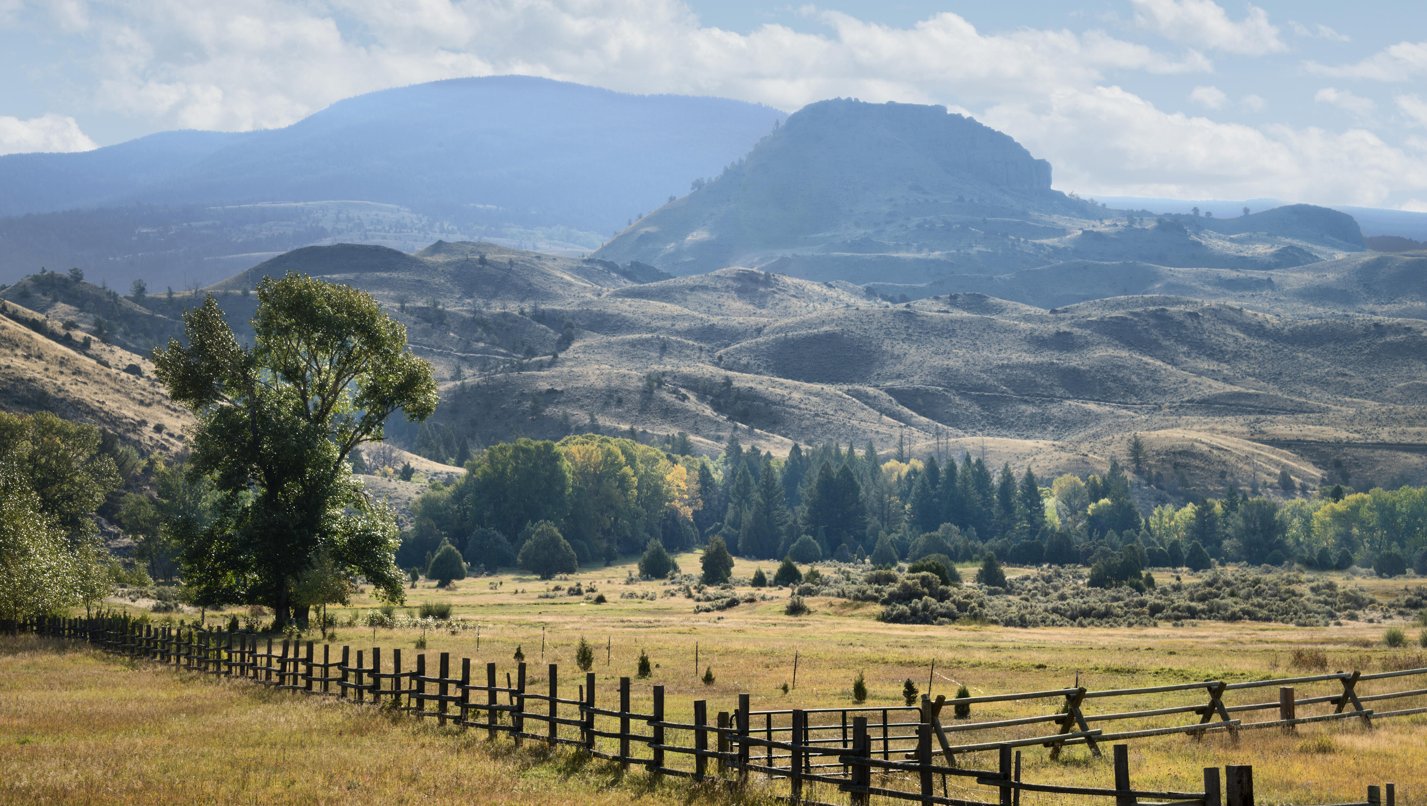 Yellowstone Spinoff...Marshalls, Trailer. 