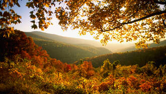In Time For Leaf Peeping, VA State Parks Install Viewfinders For Colorblind